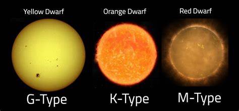 More visible "mainline" stars that are home for many naturally evolved intelligent life.