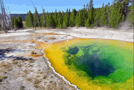 An extremophile (from Latin extremus meaning "extreme" and Greek philiā (φιλία) meaning "love") is an organism with optimal growth in environmental conditions considered extreme in that it is challenging for a carbon-based life form with water as a solvent.