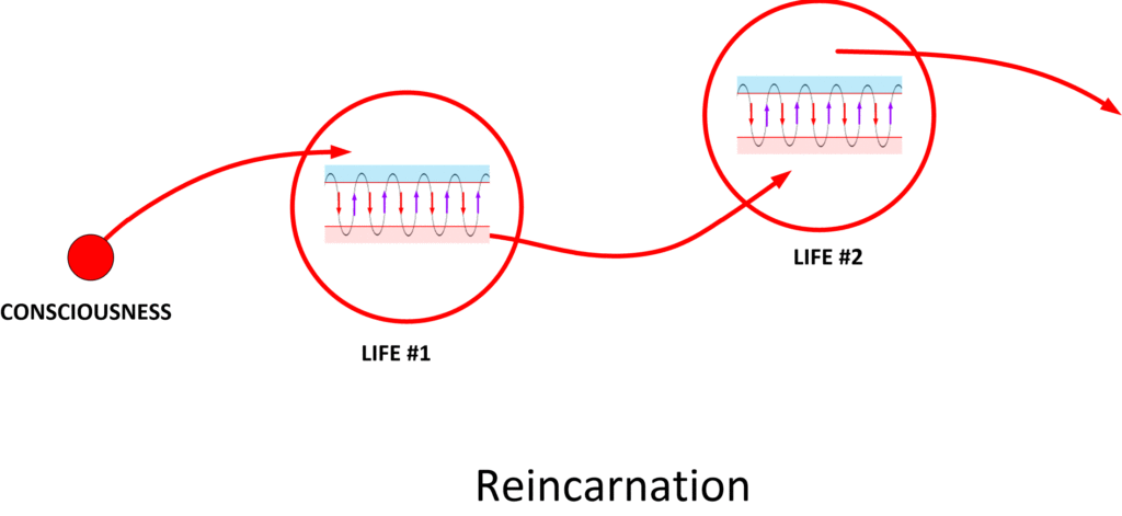 This graphic shows how the the "passage of time" is viewed in the big-scale of things. MWI movement occurs during a human "lifespan". You can only experience world-line travel within a given life. (There's exceptions to this, but let's stay focused.)