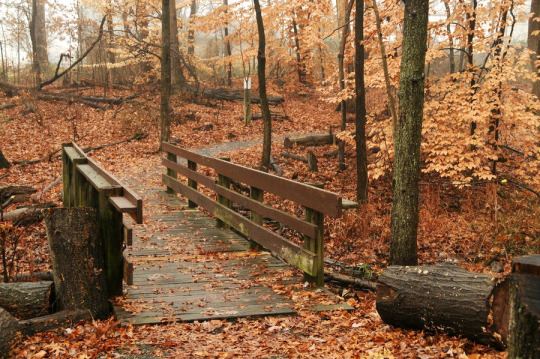 State Park