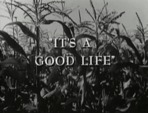 This is a portrayal of a nightmare. It's one of those things where you hope you'll wake up. It's about an entire community that has been taken over by a child brat who is totally self centered and sociopathic. He probably doesn't realize the error of his ways. Any effort to educate him would result in being "sent to the cornfield." This is a state of limbo. When your adversary has no conscience, he cannot be approached in a rational way. This story is about fear. Not only are the people under constant threat, the world the boy is creating is one that is becoming bleak and vacuous. We never know if he has the power to bring things back, but it appears not. We know at some point he will be all that is left. Everyone has a breaking point. Billy Mumy is a great choice for the child monster. The other characters sweat and frown. In their efforts to survive they have the constant mantra "That was a good thing you did. A real good thing." This is an episode of the Twilight Zone where we never get to relax. See it if you never have.
