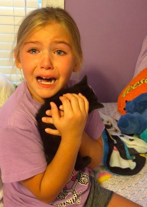 Girl finds kitten.