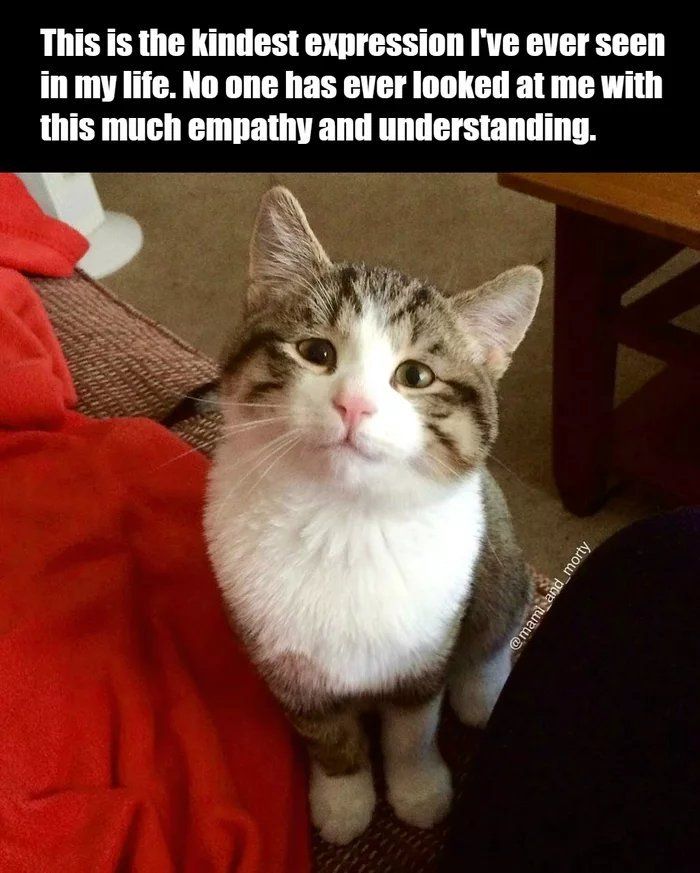 Love cat.