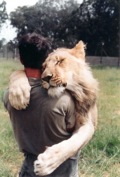 When our beloved pet, whether a cat or a dog, dies we will meet up again in the future. There are no absolutes, and in this universe nothing ever dies. It only changes shape.