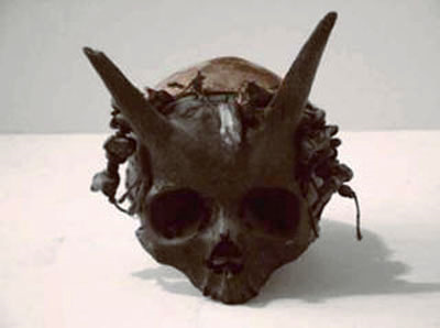 Numerous skulls such as this can be found in the Bradford museum. The susquehannock males all had horns on the top of their heads.