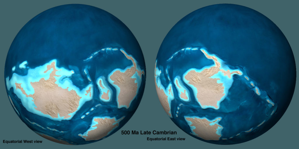 The Cambrian map at around 500 Ma.