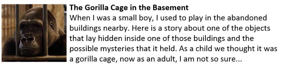 Gorilla Cage in the basement