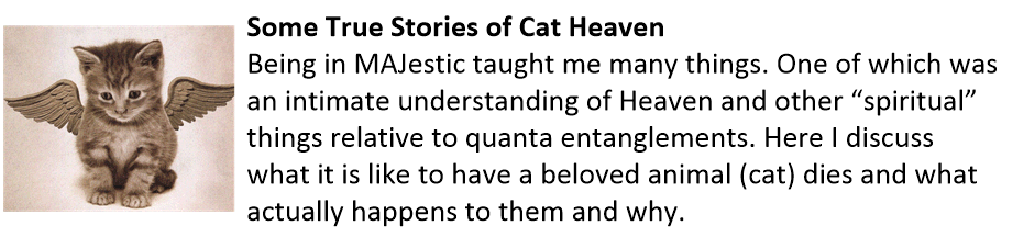 Cat Heaven