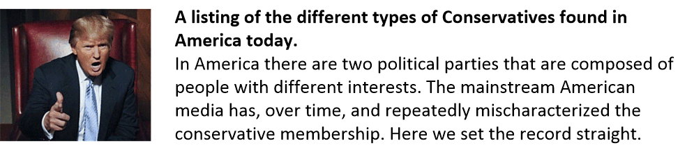 Types of American conservatives.