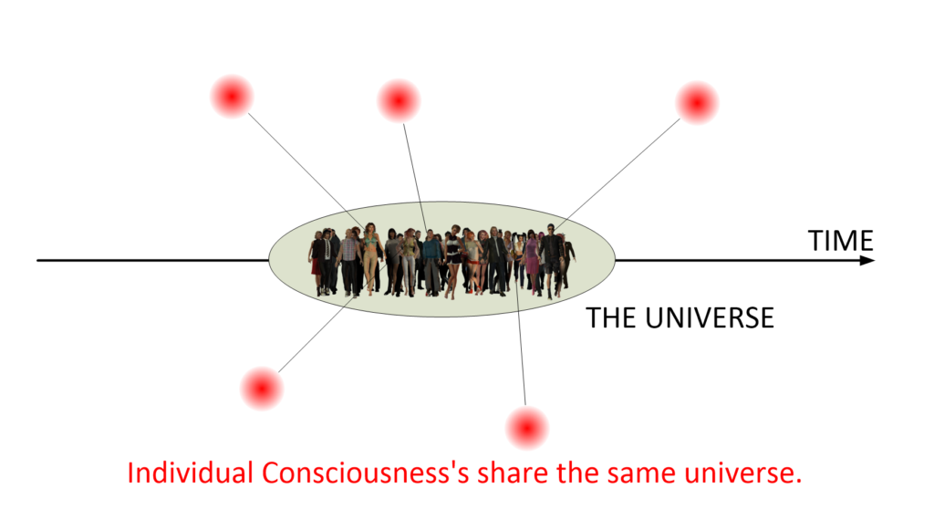 Wrong individual consciousnesses sharing the same reality.