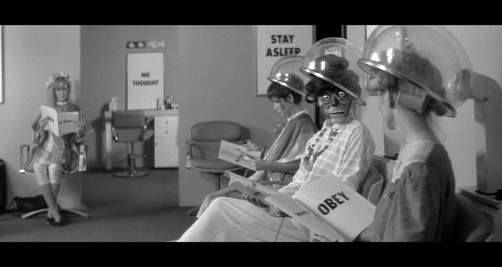They live 2
