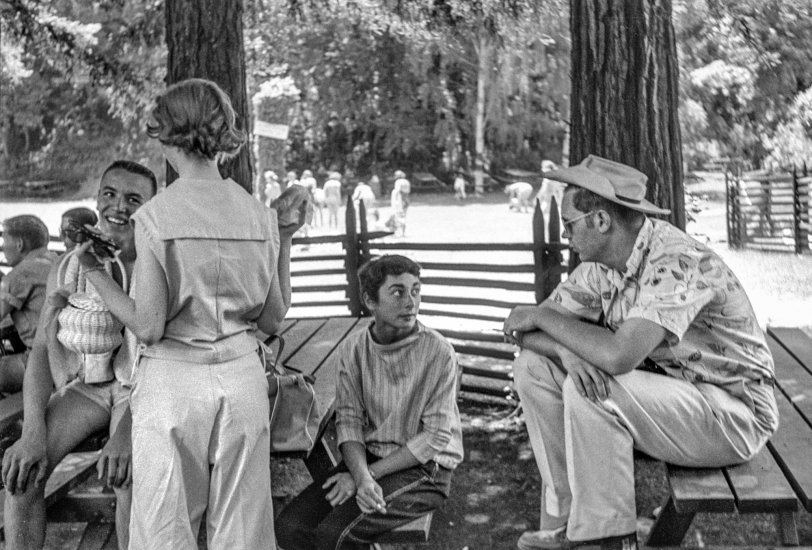 0617 SHORPY2.preview 0617 SHORPY2.preview