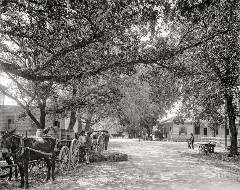SHORPY 4a08963a.preview SHORPY 4a08963a.preview