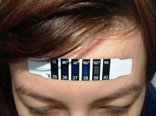 If you believe that you are experiencing some type of ELF radiation, then that radiation would cause an increase in the temperature of your skull. Forehead temperature.