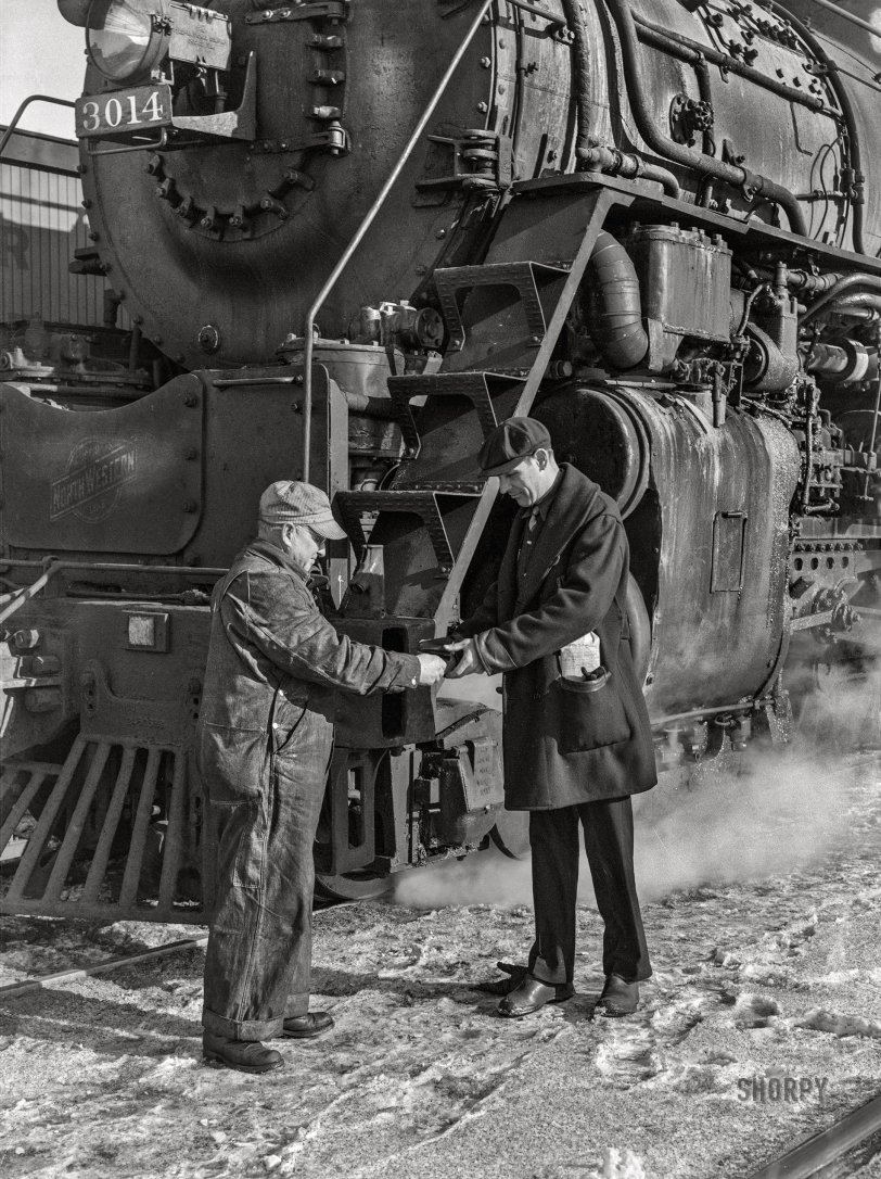 SHORPY 8d11758a.preview SHORPY 8d11758a.preview