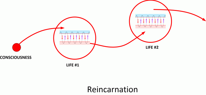 This graphic shows how the the "passage of time" is viewed in the big-scale of things. MWI movement occurs during a human "lifespan". You can only experience world-line travel within a given life. (There's exceptions to this, but let's stay focused.)