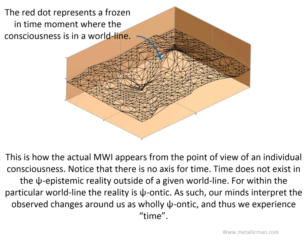 The general topography of the MWI.