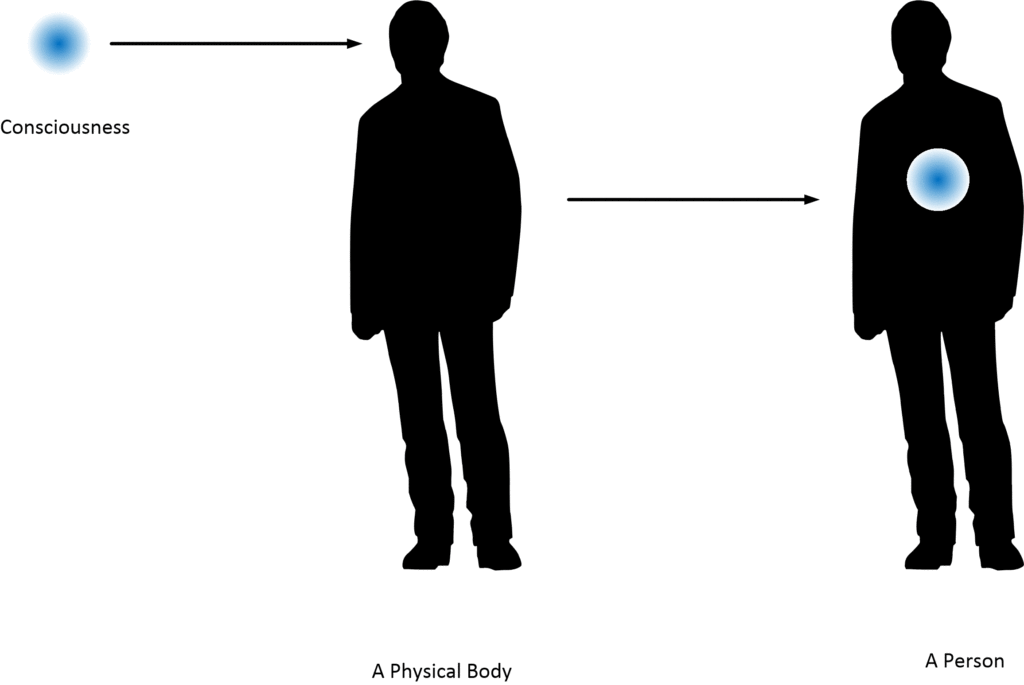 The differences between a person, a consciousness and a physical body when discussing the MWI, or multiple world-line theory.