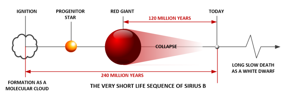 The life cycle of Sirius B. Sirius B has a very short lifespan. It is a youthful star.