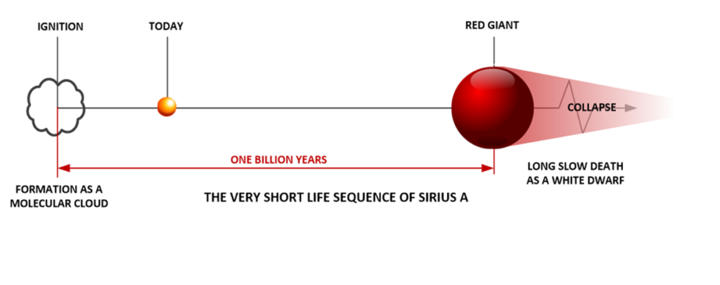 The life sequence for Sirius A. Sirius A is a very young, youthful and hot star. It has a typical and contentious childhood.