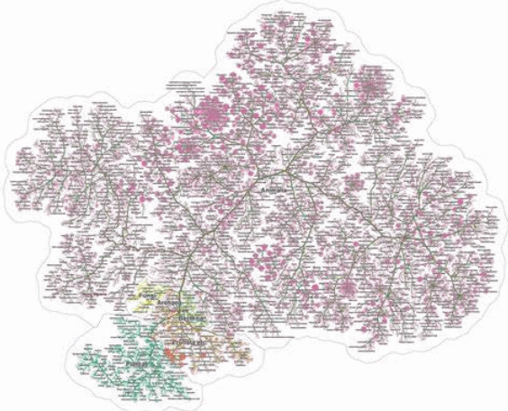 A complex data set visualized using "tree" structure and organization.