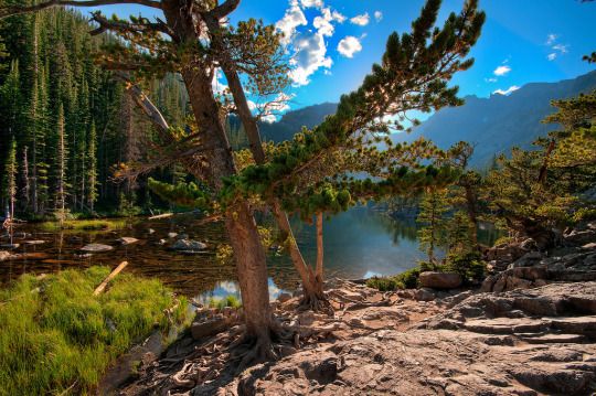 Beautiful earth