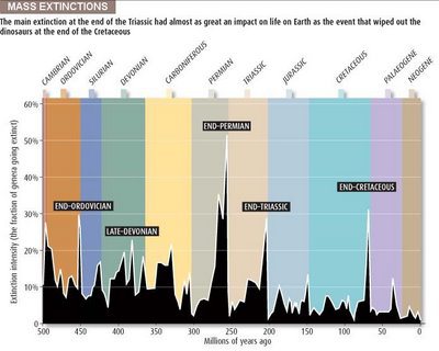 Plot of mass extinction