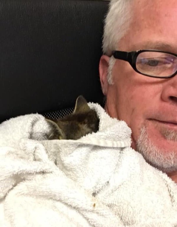 Rescue the kitten.