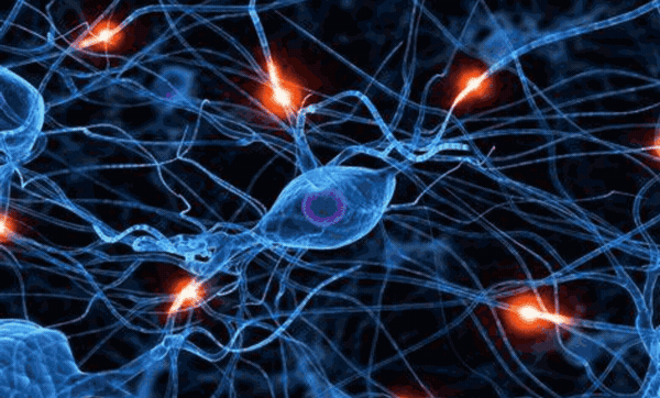 To me, this appears a lot like a neural network in the human brain.