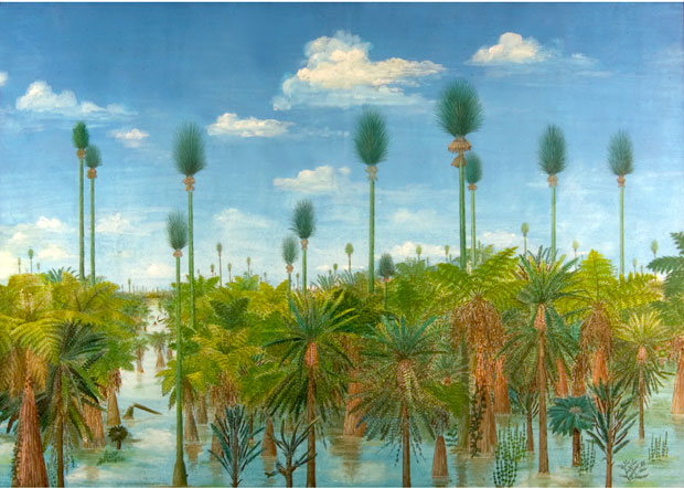 The plant life during the Permian was very primitive.