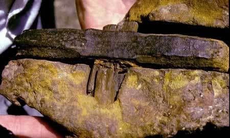 The London Hammer as found with petrified wood handle and encased within a stone.