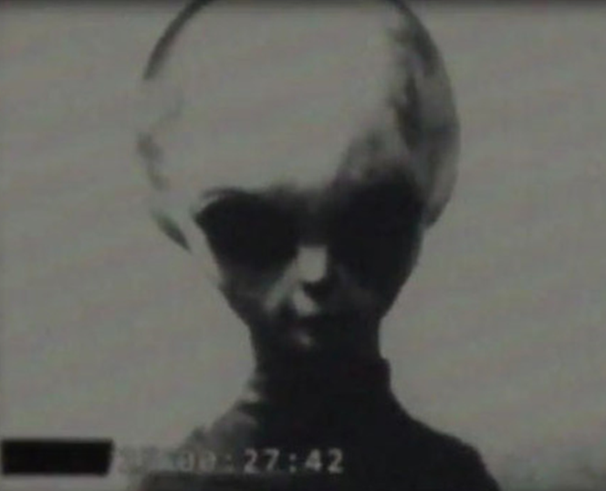 Grey extraterrestrial 2