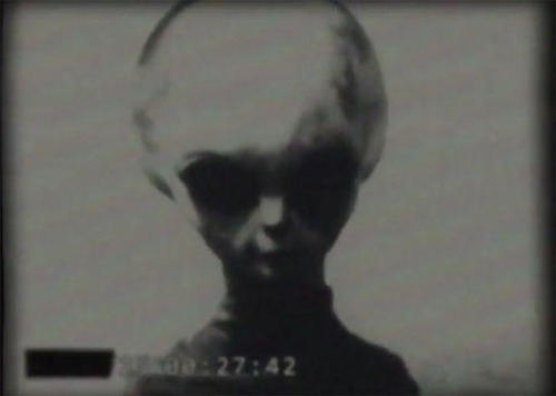 Type-1 grey head shot