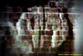 Sonar-picture-of-the-Baltic-UFO