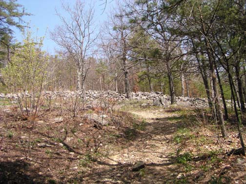 Approaching the fort wall from the South.   This wall is well over 800 feet long. It is 7 feet in high and 12 feet wide in many places. It seems to be generally agreed upon that the wall was originally much higher.