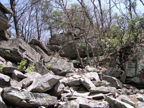West end of the fort wall.   Access becomes very difficult at this point thereby suggesting that this may have been a defensive structure.