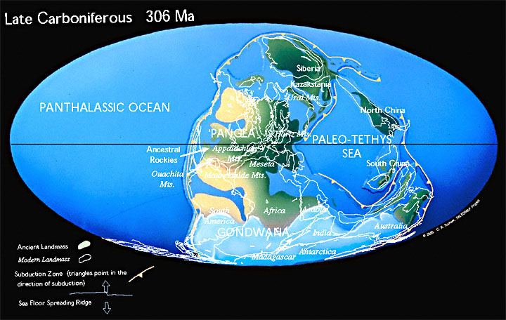 The earth was indeed, a different place. It was warmer and had a higher percentage of oxygen in the atmosphere which enabled the insects to grow to enormous sizes. Map of the Carboniferous era