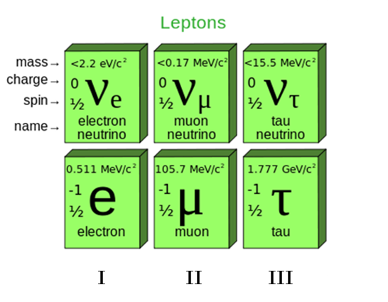 Quantum Particles.