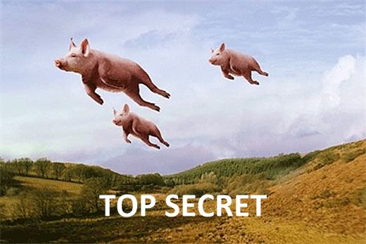 The fictitious top secret "Flying Pigs" program. Pretend that there is a a top secret program that concerns the ability for pigs to fly.
