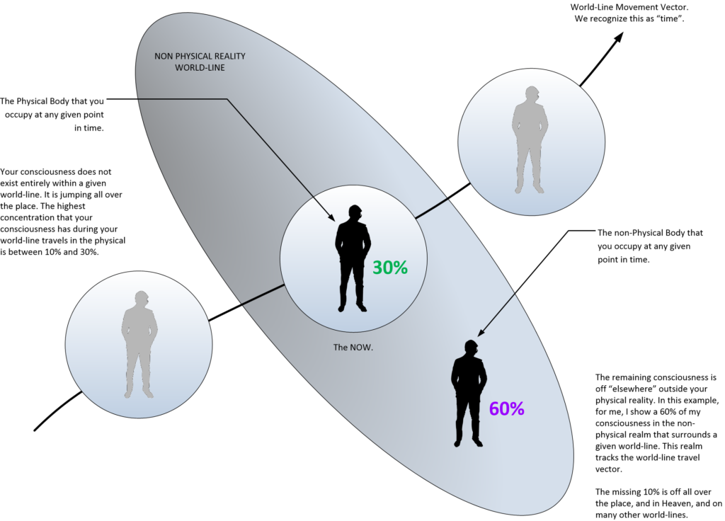 In the picture, I showed the physical reality that one inhabits as part of the MWI. And I show a person who's consciousness inhabits a given body. I write in purple that the remainder of the consciousness is split in that non-physical realm. This is shown as 60%.