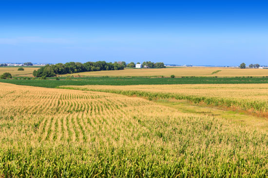 Typical Indiana.