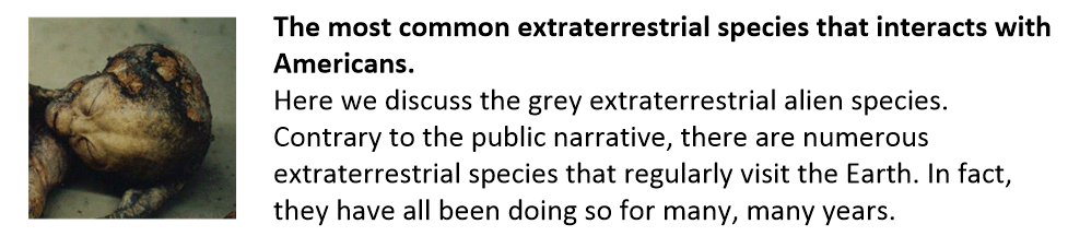 Type-1 Grey Extraterrestrial