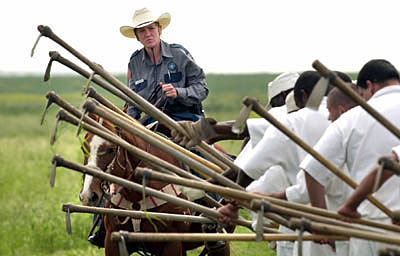 This was real torture and very difficult. It really sucks as someone who worked on Hoe squad on an old slavery plantation to hear some fat unemployed SJW chick lecture me about my "white privilege" makes me want to literally rip her teeth out of her mouth. Hoe squad