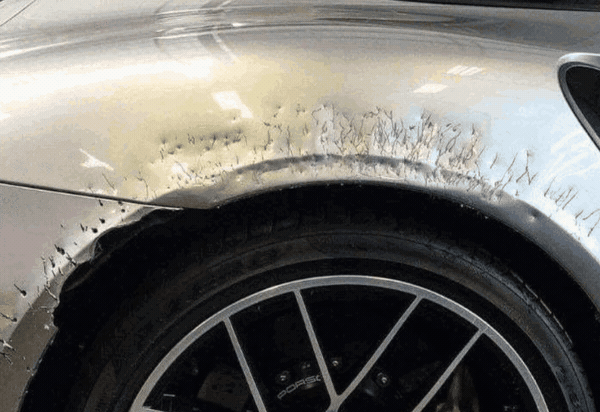 Car chewed up by neighbors pit bull.