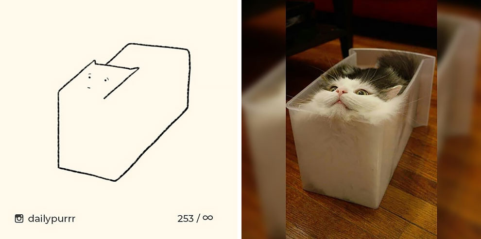1 1 1 1
