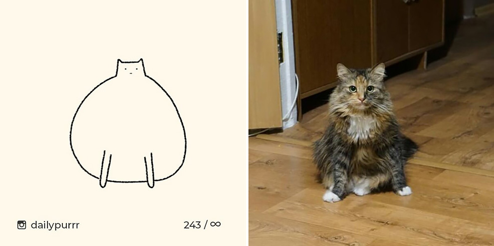12 1 1 12 1 1