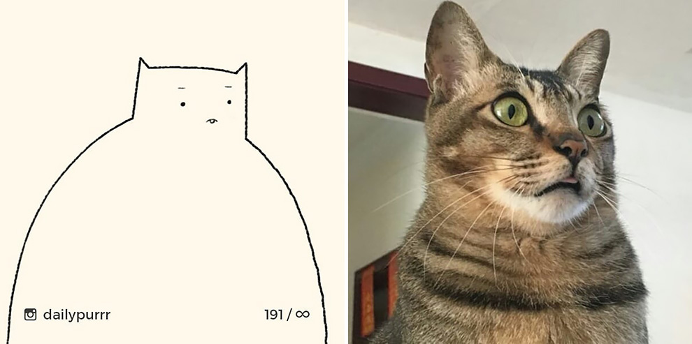 15 4 15 4