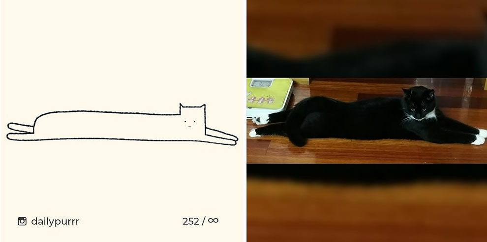 2 1 1 2 1 1