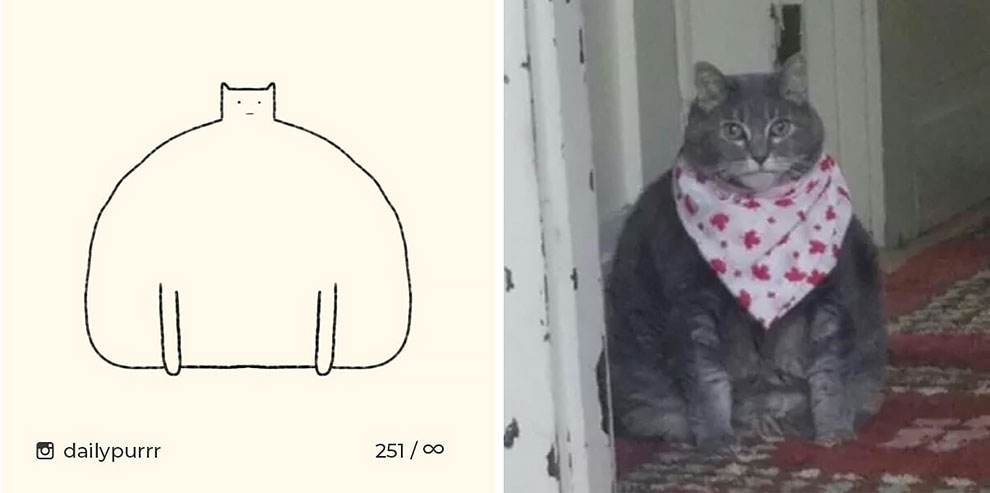 3 1 1 3 1 1