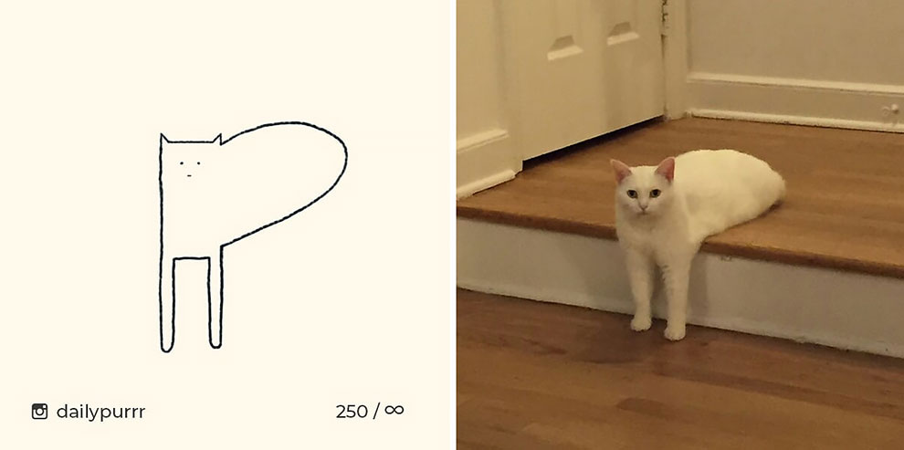 4 1 1 4 1 1